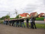 Maibaum 092